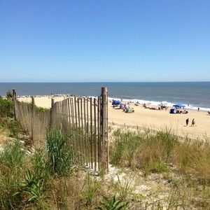 Meet your Posher, Marjorie